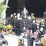 IMG_6797
