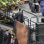 IMG_6829