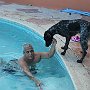 IMG_6961