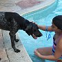 IMG_6967