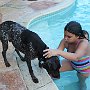 IMG_6968