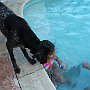 IMG_6973