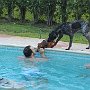 IMG_6975