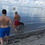 IMG_0184