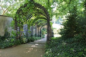 IMG_9228