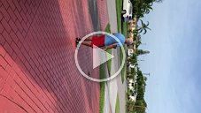 IMG_0637