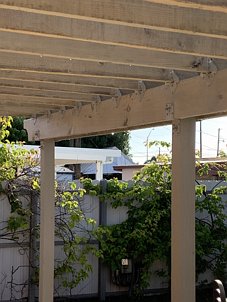 IMG_0595