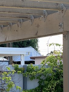 IMG_0596
