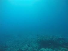 G0051016