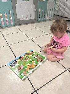 IMG_1341