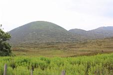 IMG_3923