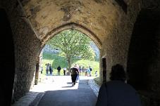 IMG_4278