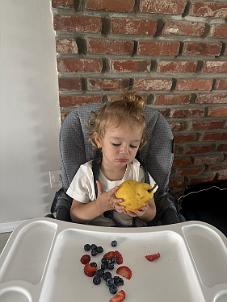 IMG_2764
